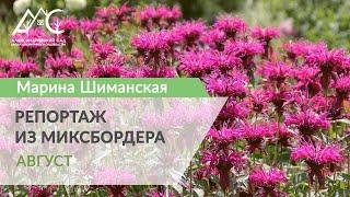 Репортаж из миксбордера.  4. Август