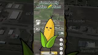 I Found a Giant Corn  Maize Real Life On Google Earth and Google Maps