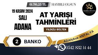 19 Kasım 2024 Salı Adana At Yarışı Tahminleri