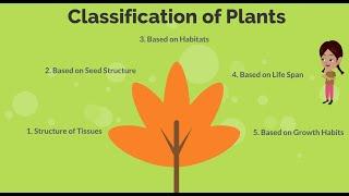 Types of Plants for Kids #Kidslearning #sciencefacts #classificationofplants