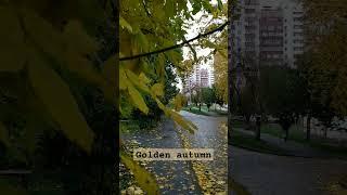 Autumn life. Golden autumn in Ukraine. #goldenautumn #ukraine #beauty #shorts #youtubeshorts