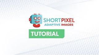 ShortPixel Tutorial  Setting Up Image Optimization for Beginner Bloggers (Blog Speed Tips!)