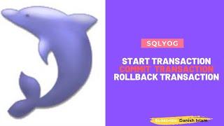 SQLYOG START TRANSACTION, COMMIT, and ROLLBACK using SQLYOG | MySql TRANSACTION |