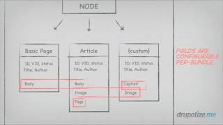 2 What Are Drupal Entities  Drupalize Me