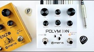 Meris Polymoon Super Modulated Delay (Stereo)