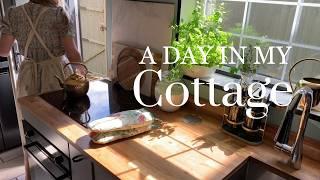 English Scones + Homemade Berry Jam  Cottage Garden & Cats ᯽ Slow Living vlog ️ Simple Life ASMR