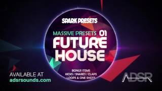 Future House for NI Massive by Spark Presets