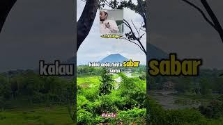 Belajar Dari Kesalahan #videoviral #motivasidiri #motivasi #renungan #kajiansingkat#uah #fyp #islam