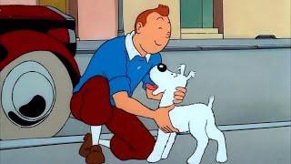 Tintin.Milou - Преданней собаки