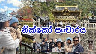 නික්කෝ සංචාරය A Day in Nikko: Temples, Waterfalls, and Scenic Beauty