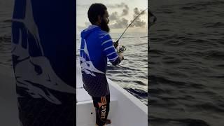 Fish on fish on #fishing #sealife4k #seafood #sealife #fish #automobile #seafoodrecipes #jigging