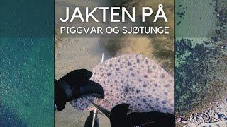 Uv-jakt |2021| Piggvar&sjøtunge