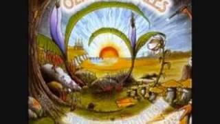 Ozric Tentacles - Space Out