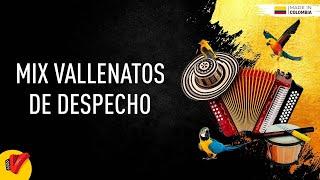 Mix Vallenatos De Despecho, Video Letras - Sentir Vallenato