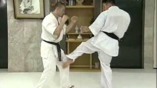 Kyokushin Kumite Image Training Part 2