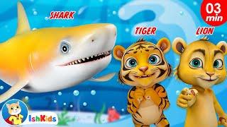 Baby Shark + Finger Family | Nursery Rhymes & Kids Songs | IshKids