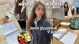 daily vlog | моя жизнь в 9 классе, учеба, уход за собой, подготовка к экзаменам