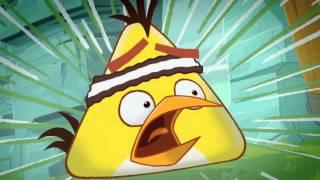 AngryBirdsToons trailer