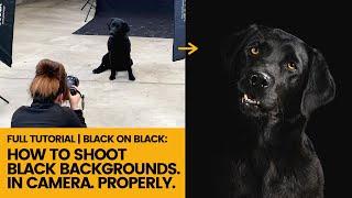 FULL TUTORIAL: Photograph a Black Dog on a Black Background in Studio