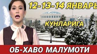 12-13-14 ЯНВАРЬ КУНЛАРИ УЧУН ОБ ХАВО МАЛУМОТИ, ob havo.