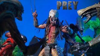 Feral Predator vs Razor Claw Alien, Chrysails alien, Arachnoid alien, scorpion alien an epic battle