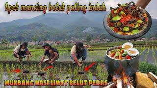 Bikin iri pemancing! Hanya di spot sawah bisa panen belut | Pesta strike mancing belut | Mukbang