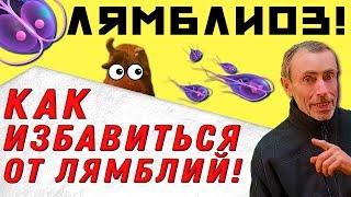 ЛЯМБЛИОЗ! КАК ИЗБАВИТЬСЯ ОТ ЛЯМБЛИЙ! Лямблии в организме человека, мифы и реальность, Островский