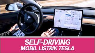 Mantan Bos Tesla: Sistem Autopilot di Mobil Listrik Hanya Omong Kosong!