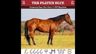 2024 Return to the Remuda Sale Hip #53 TRR Playiin Blue