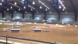 2013 Pinto World Novice Youth Trail