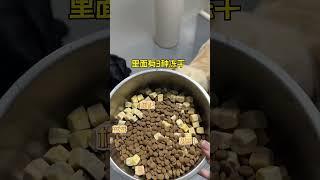 The puppy's understanding ability is full of cuteness. Recommended dog food at home. NetEase Yan