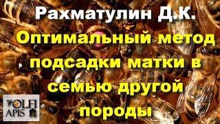 #Рахматулин Д.К. Оптимальный метод подсадки матки в семью другой породы