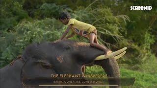 India's 'The Elephant Whisperers' wins Oscar 2023 | Screenid