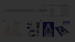 Towards Equitable CPR: An Interactive System for Female CPR Training