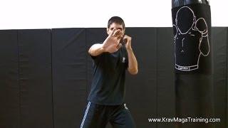 Krav Maga - Palm Strike (2 Mistakes to Avoid)