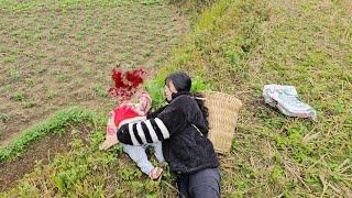 The mother and her adopted child went to pick vegetables and were helped by an old woman.