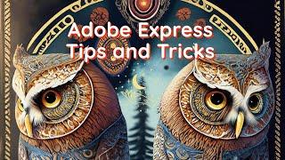 Adobe Express Tips and Tricks