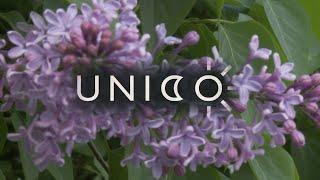 UNICO - Poland / Fashion Film TV