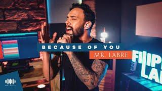 Mr. Labre - Because Of You