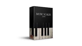 +200 FREE Midi Scales For Trap & Hip Hop | Ultimate Collection