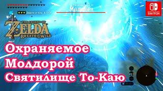 Охраняемое Молдорой Святилище То Каю. Tho Kayu Shrine. The Legend of Zelda: Breath of the Wild.