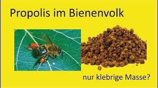 Propolis - Apotheke der Bienen