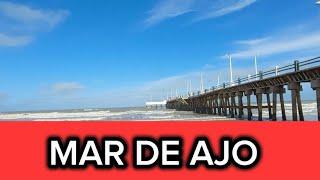 MAR DE AJO 2024