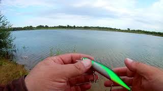 Копия ZipBaits ORBIT 110 с Алиэкспресс. Короткий обзор.