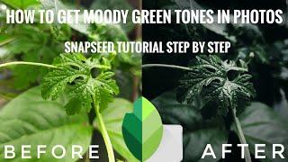 How to get Moody Green Tone in photos  | Snapseed tutorial step by step