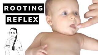 Rooting reflex in babies.