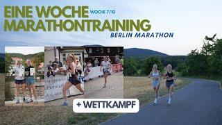 VLOG I So trainieren wir für einen MARATHON! + Wettkampf 