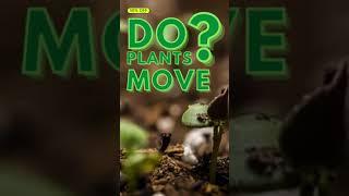 Do Plants Move ? Online Biology Concepts #shorts