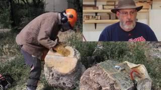 The First Cut is....Important when Milling a Burl: wyomingwoodturner