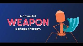 How phage therapy fights superbugs